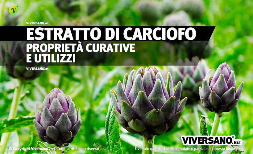 Carciofi e foglie di carciofo in primo piano