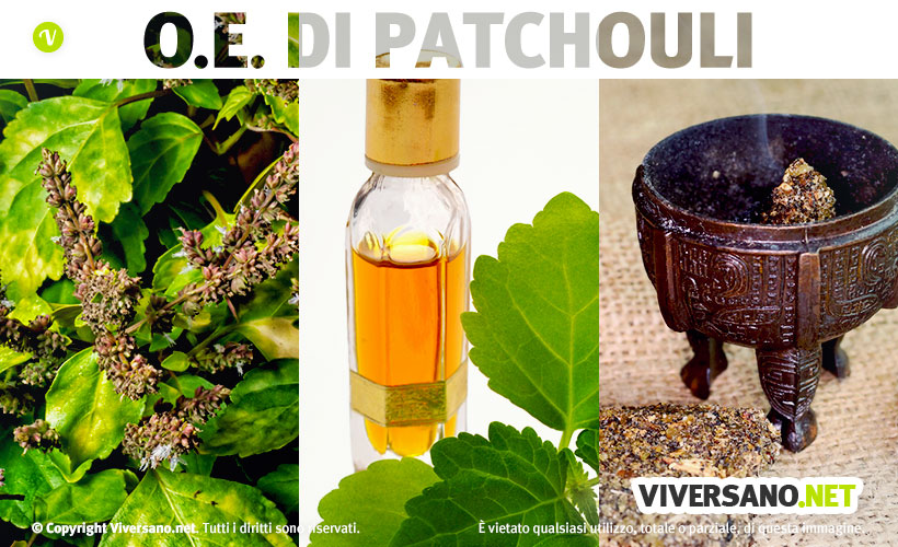 Copertina dell'articolo - Olio essenziale di patchouli