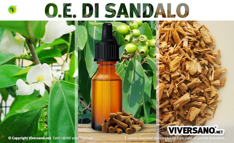 Olio essenziale di sandalo