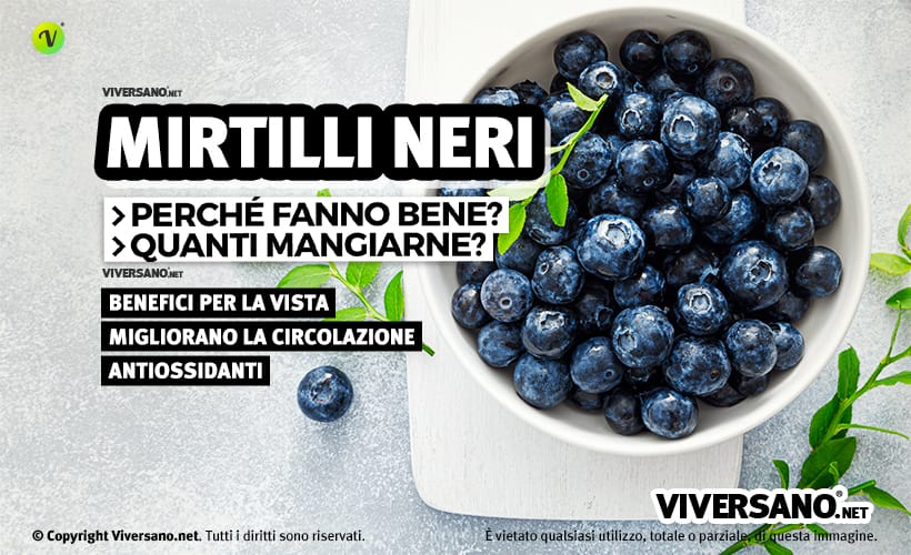 Bacche e foglie di mirtillo nero