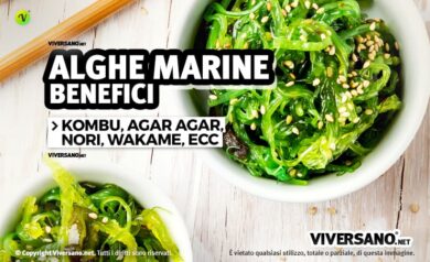 Alghe marine miste in una ciotola