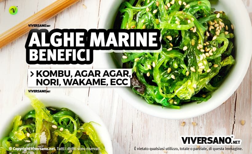 Alghe marine miste in una ciotola