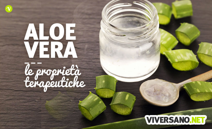 Aloe vera: proprietà, benefici e controindicazioni