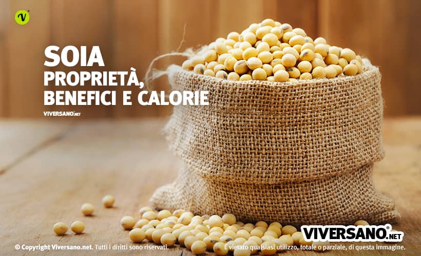 Semi di soia sfusi in un sacco