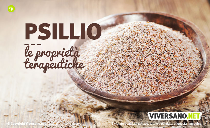 Semi di psillio: proprietà, usi e controindicazioni