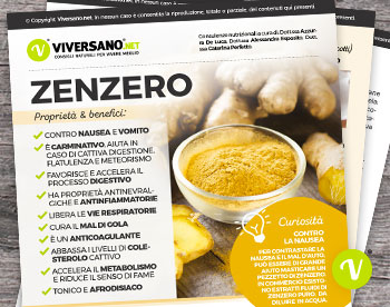 scarica la scheda sullo zenzero