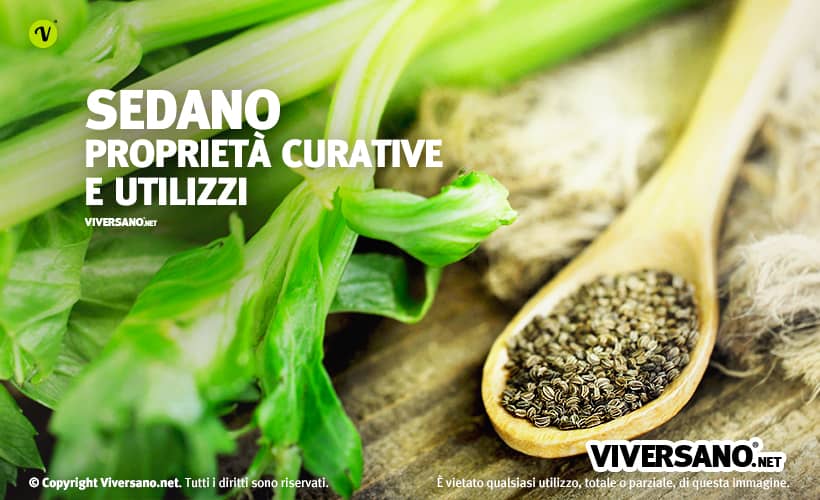 Gambi e semi di sedano sopra un tavolo