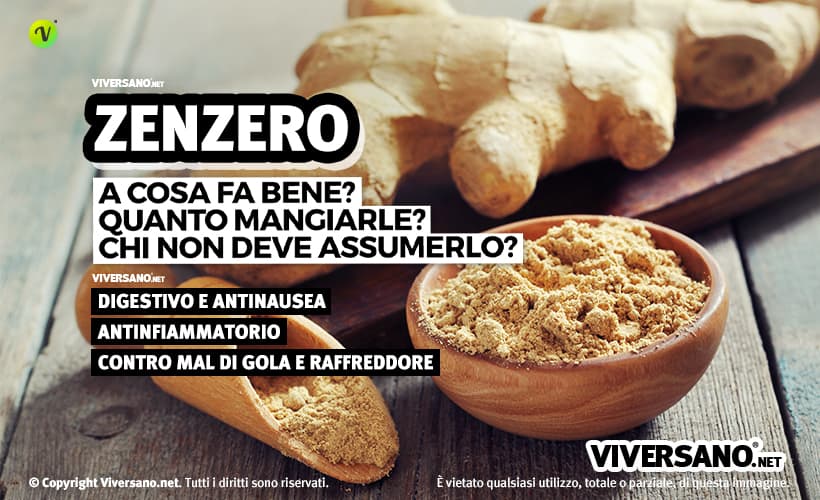 Zenzero in polvere dentro una ciotola e radice fresca sullo sfondo