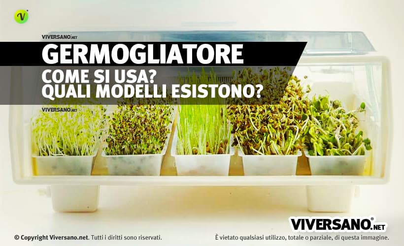 Germogliatore con semi germogliati