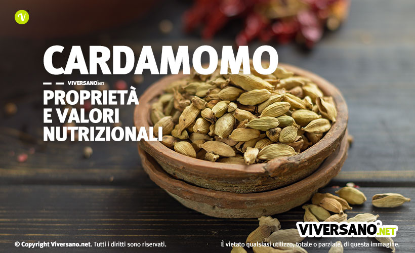 Immagine di semi di cardamomo in un contenitore di coccio