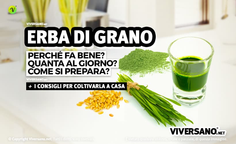 erba di grano e succo in un bicchiere