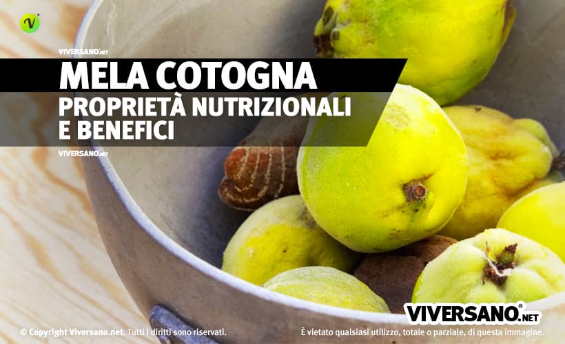 Mela cotogna benefici