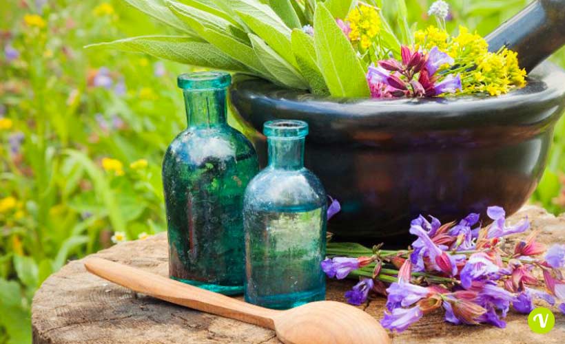 Fiori di Bach: cosa sono e come si utilizzano