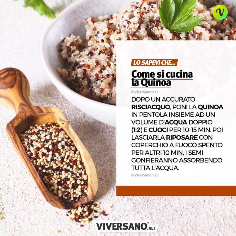 Come si cucina la quinoa