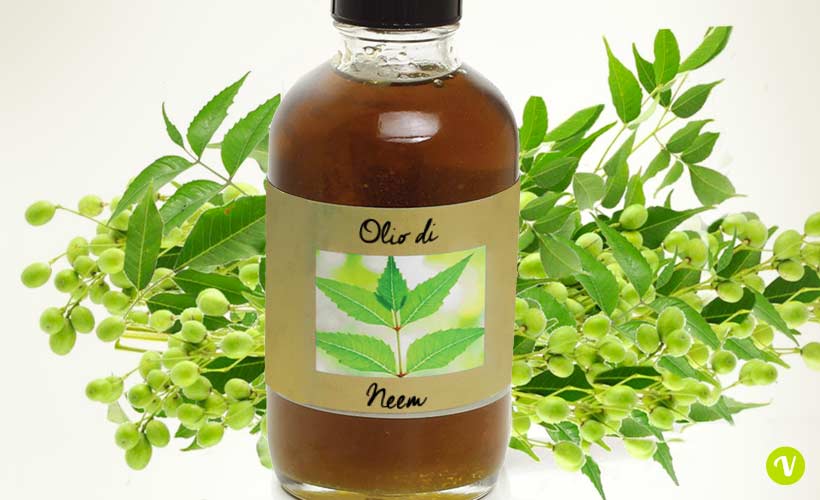 Olio di Neem