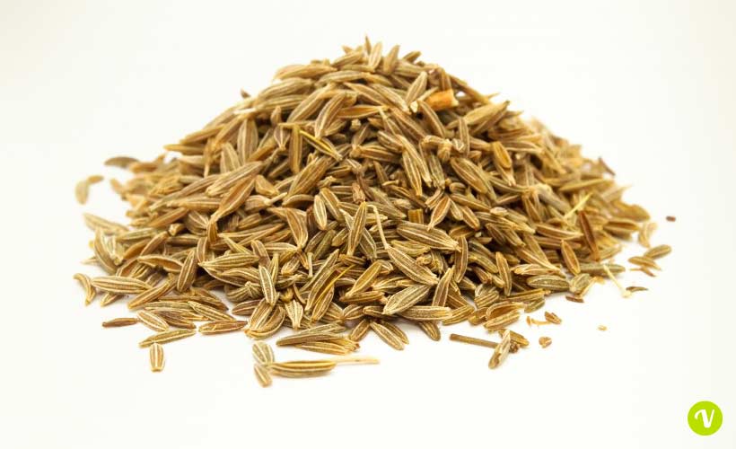 Carvi proprieta e benefici