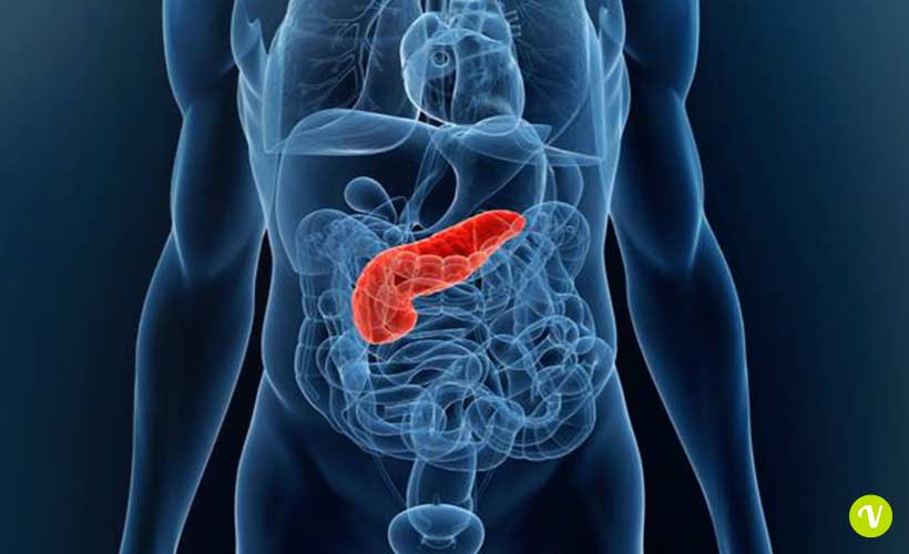 Pancreatite: cibi consigliati e da evitare