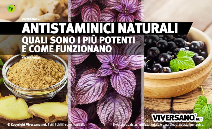 Antistaminici naturali