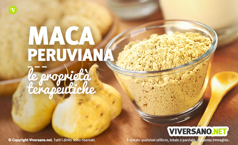Maca peruviana: proprietà, benefici e controindicazioni
