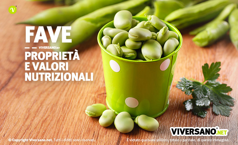 Fave fresche in un contenitore colorato di verde