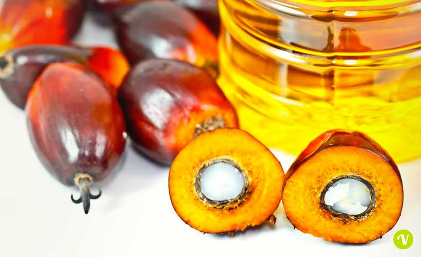 Olio di palma fa male