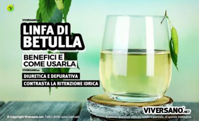 Linfa di betulla: proprieta e controindicazioni