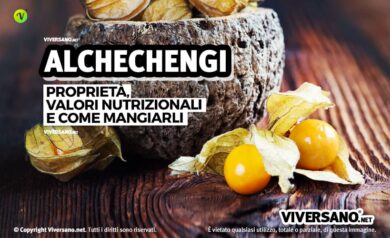 Piccoli frutti arancioni di alchechengi in primo piano