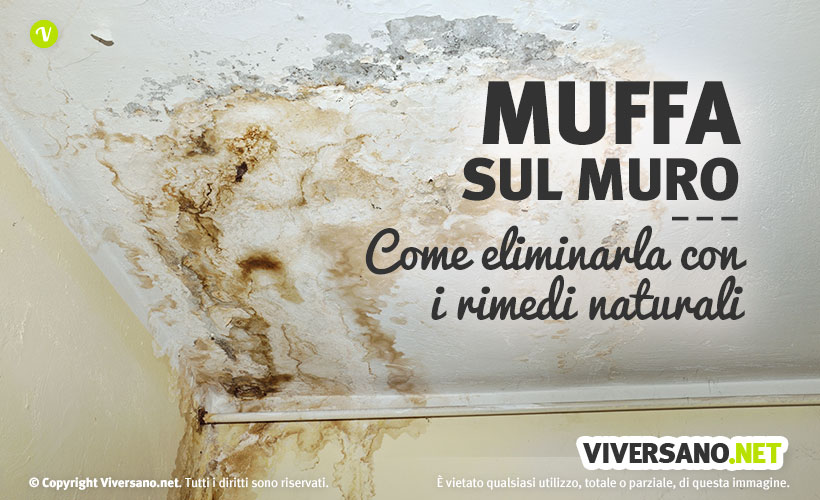 Muffa sui muri come eliminarla con i rimedi naturali