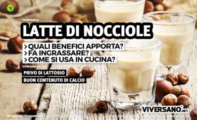 Latte di nocciole ricetta fai da te