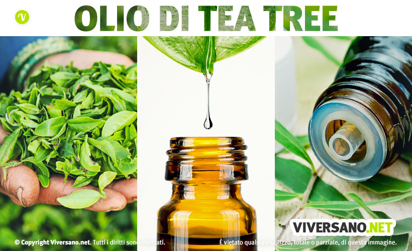 Tea tree oil: usi e proprieta