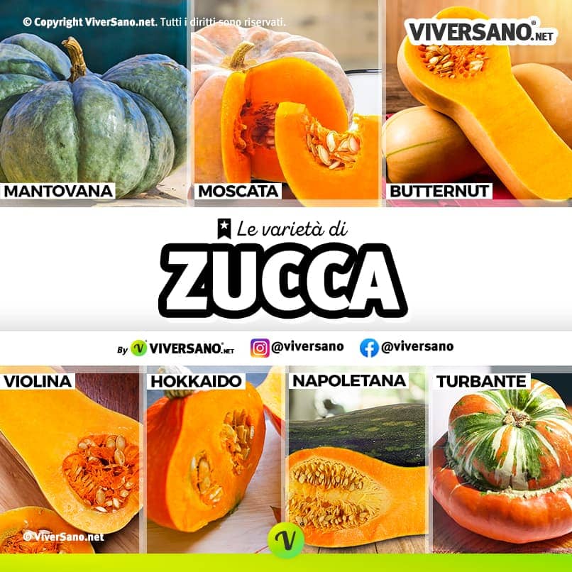 Immagine con zucche di vario tipo