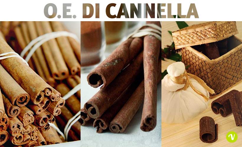 Olio essenziale di cannella: proprietà e usi