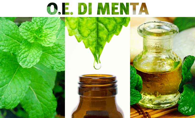 Olio essenziale di menta