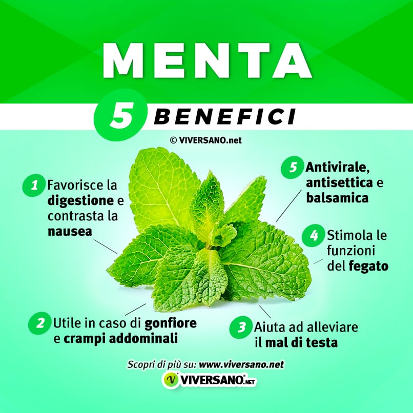 Infografica su 5 benefici della menta