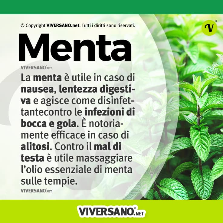 Infografica sui benefici della menta