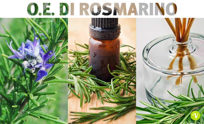 Olio essenziale di Rosmarino