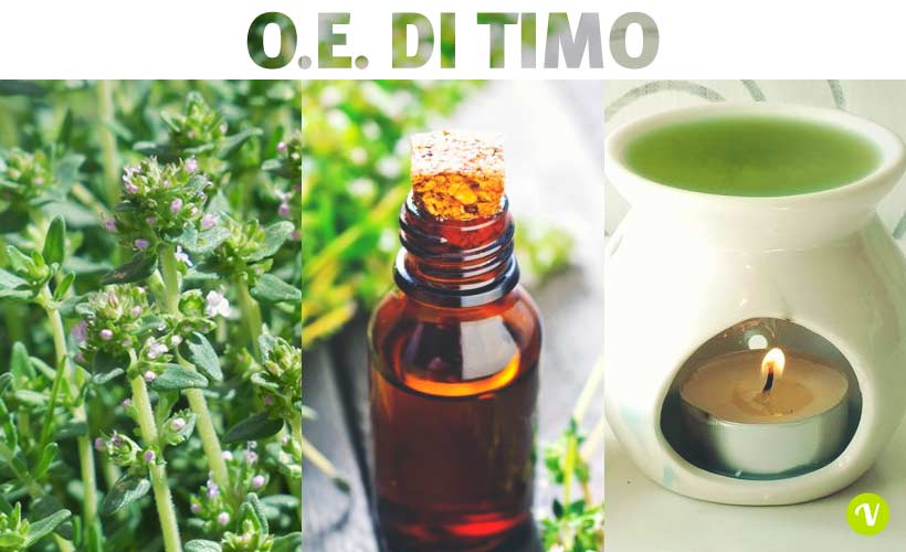 Olio essenziale di timo