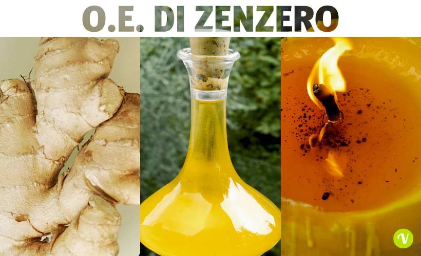 Olio essenziale di zenzero