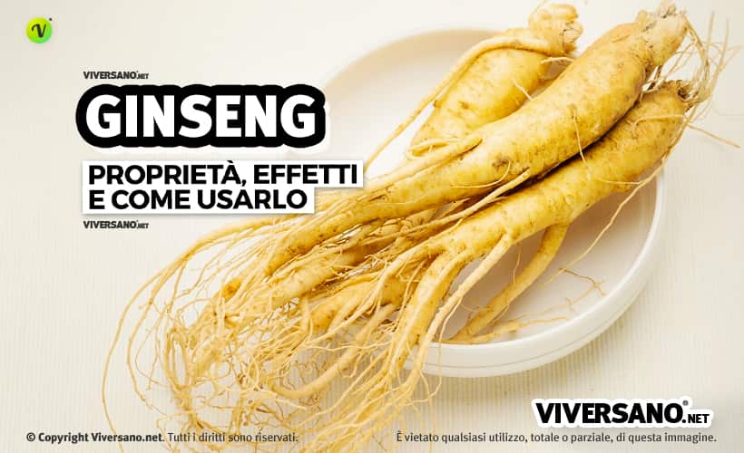 Ginseng: proprietà e controindicazioni
