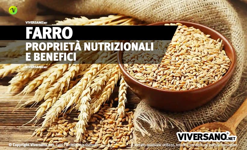 Chicci di farro sfuso in una ciotola