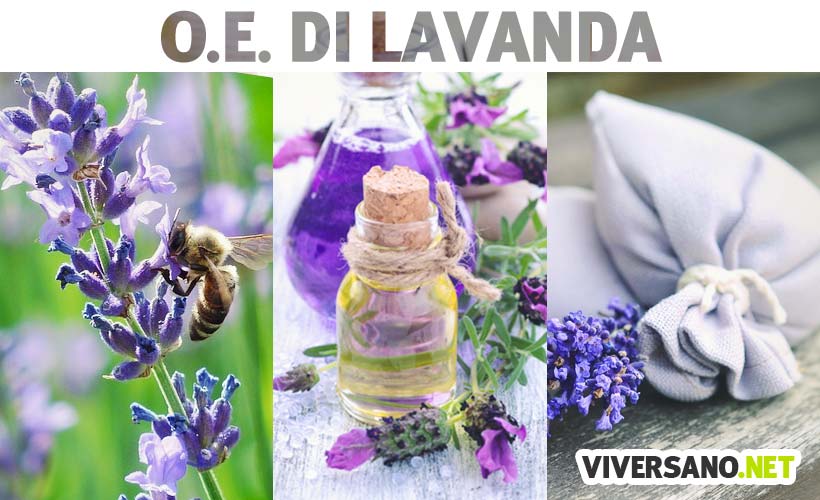 Olio essenziale di lavanda: benefici e usi in aromaterapia