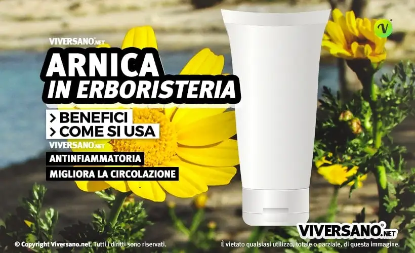 Fiore di arnica e pomata con arnica in primo piano