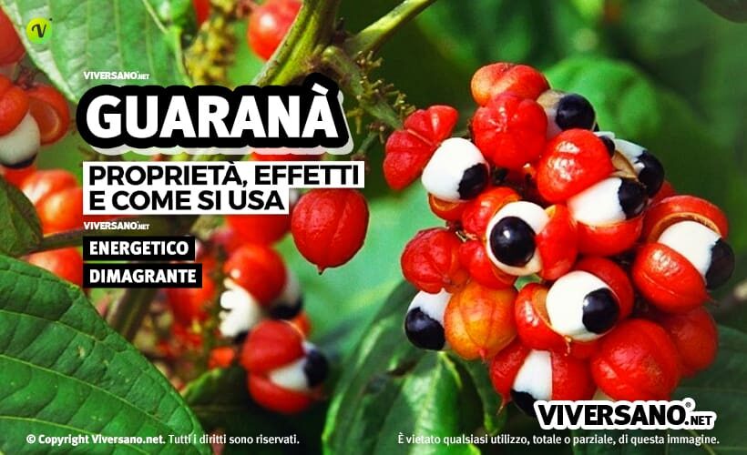 Guaranà: proprietà e utilizzi
