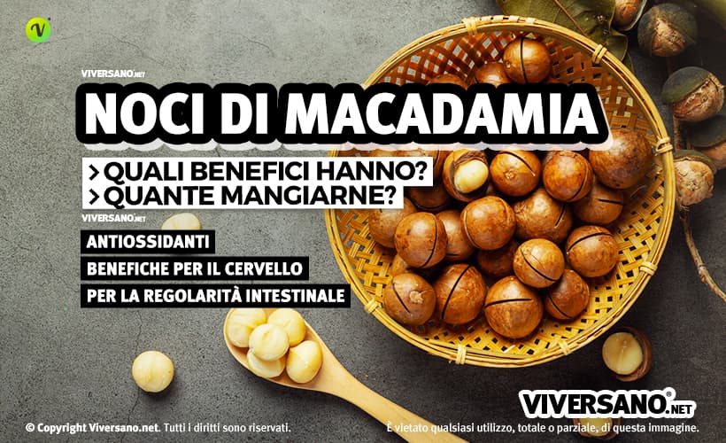 Noci di macadamia sfuse