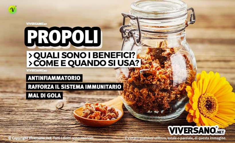 Le proprietà e i benefici della propoli