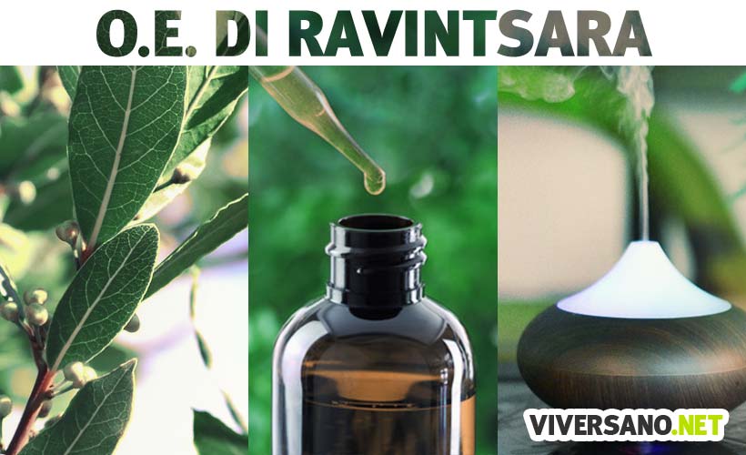 Olio essenziale di Ravintsara: usi e proprietà