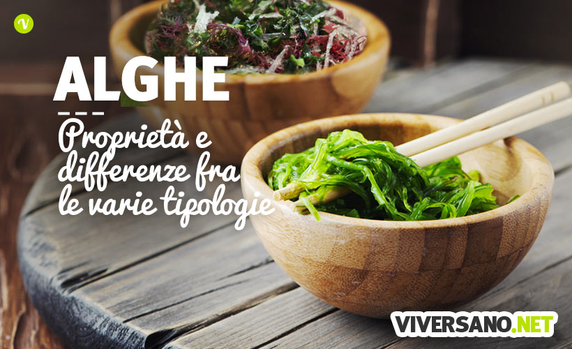 Alghe rosse, brune, verdi e azzurre: caratteristiche e benefici