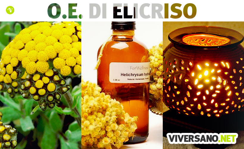 Olio essenziale di elicriso: proprietà e utilizzi