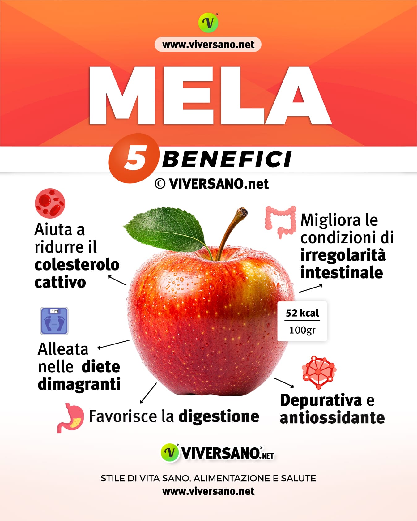Infografica sui 5 benefici delle mel