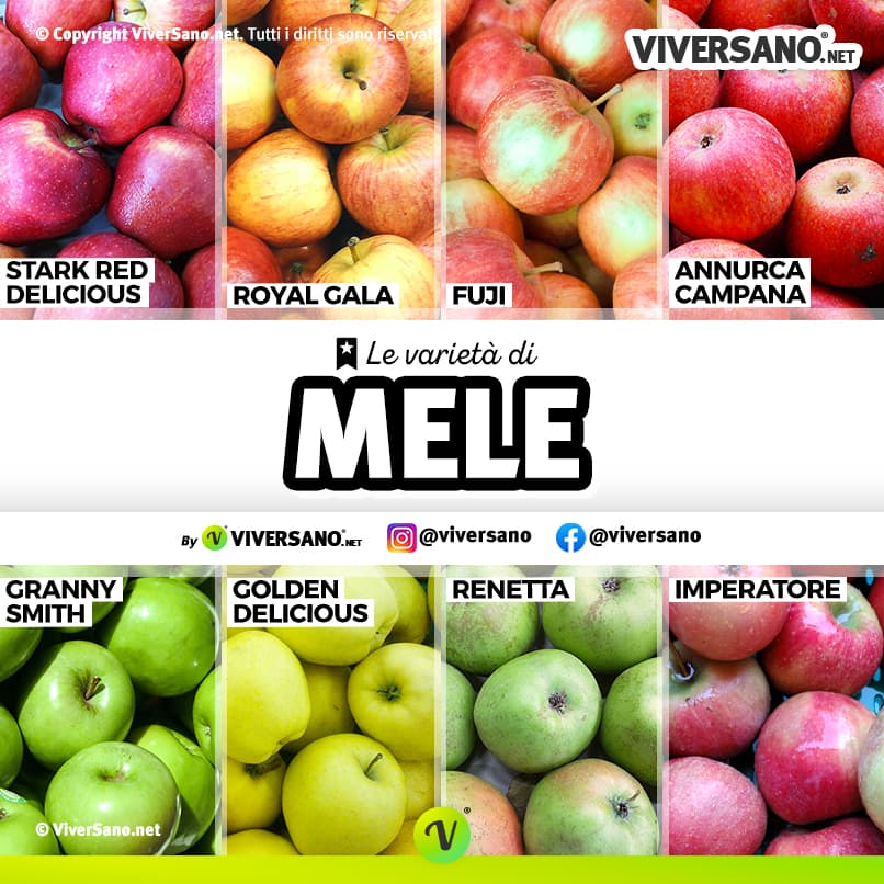 Infografica sulle varie tipologie di mela